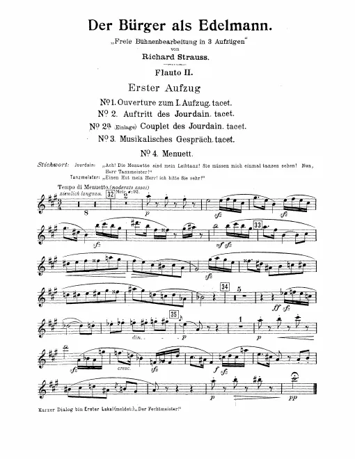 Flute/Piccolo 2