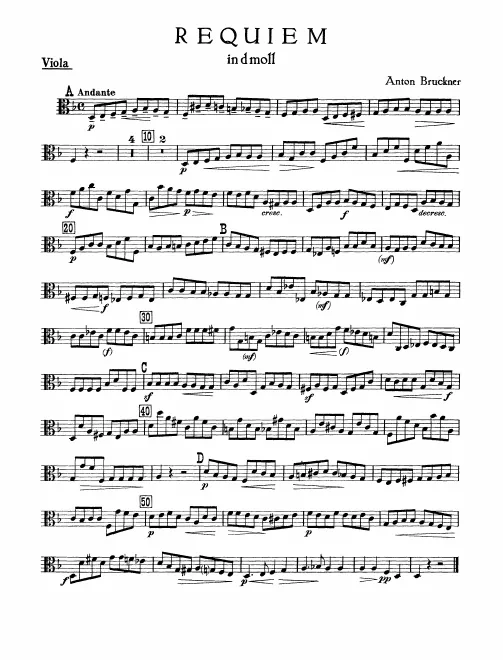 Violas