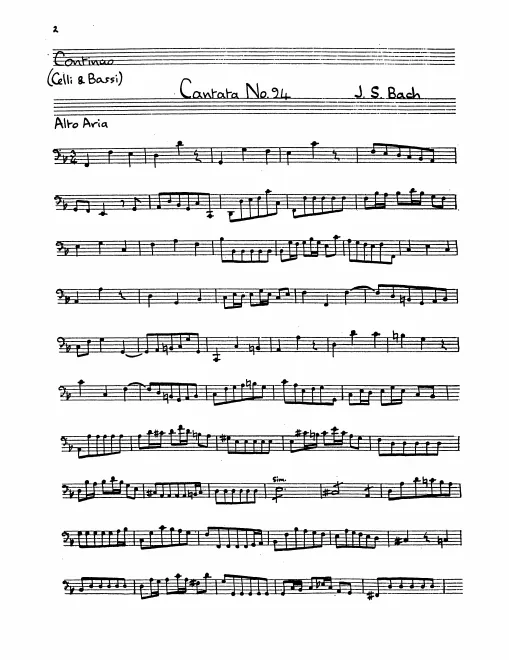 Cellos/Basses