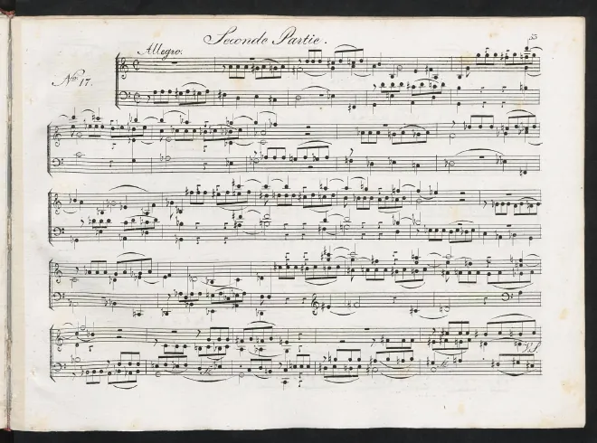 Nos.17-36 (colour)