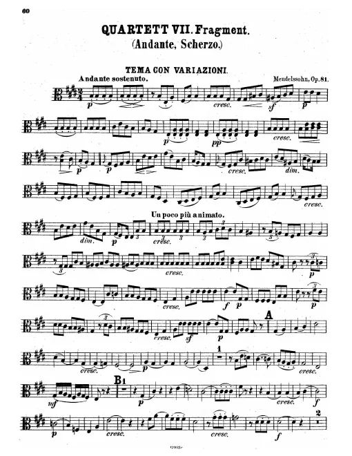 Viola