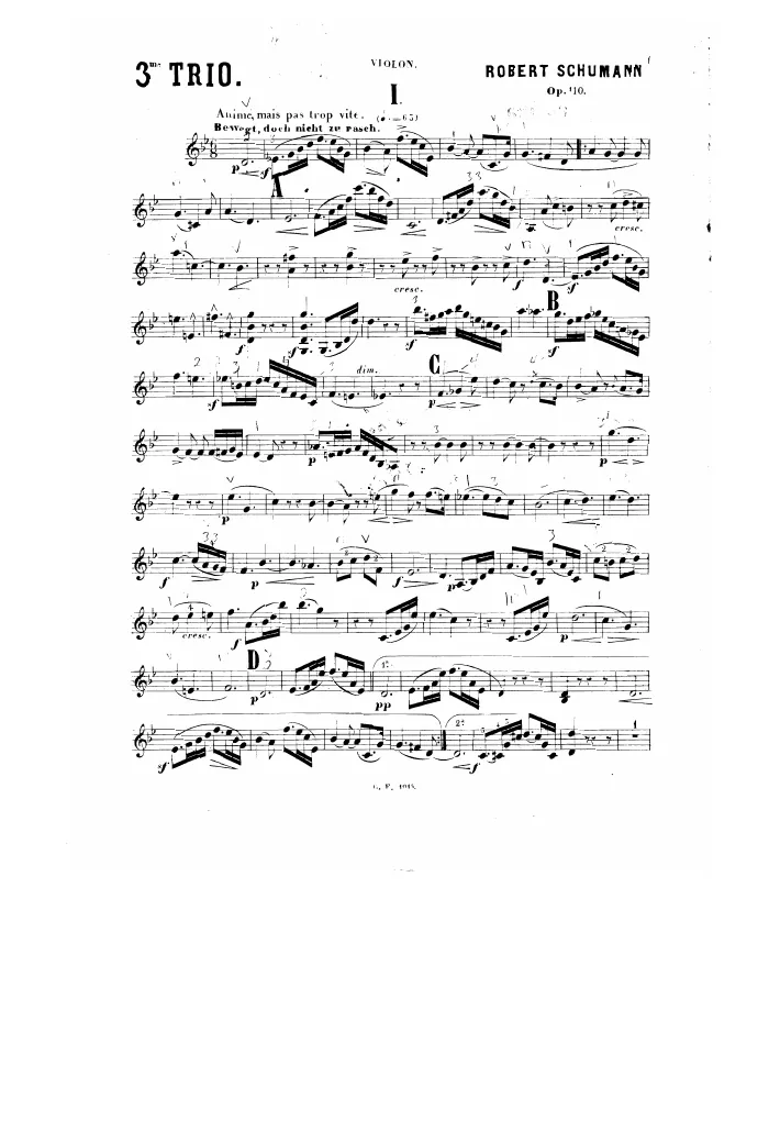 Violin