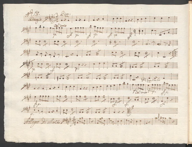 Cello