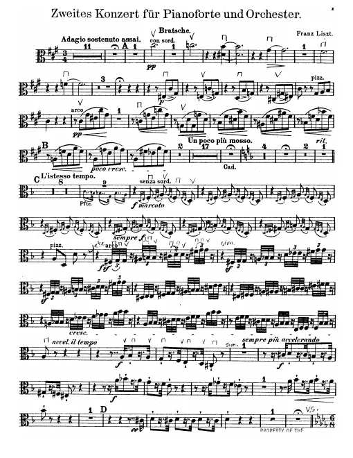 Violas