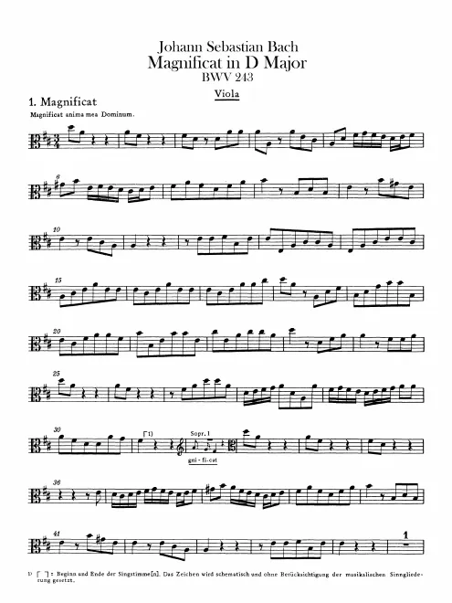 Violas