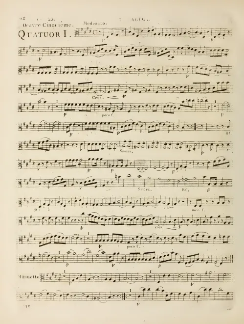 Viola