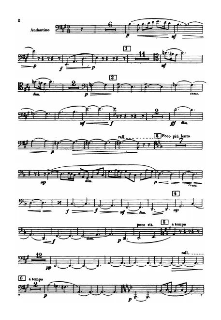 Bassoon 2