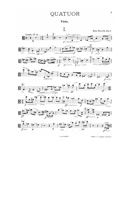 Viola