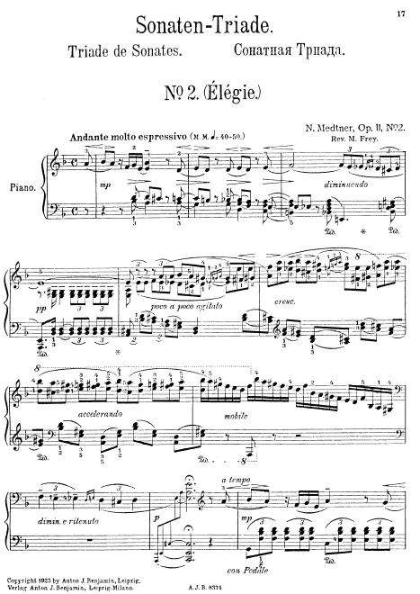2. Sonata-Elegy in