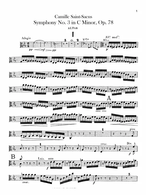 Violas