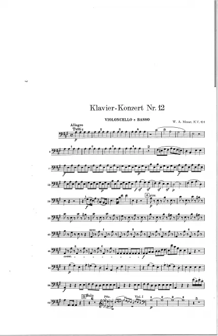Cellos/Basses