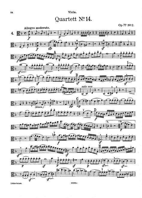 Viola