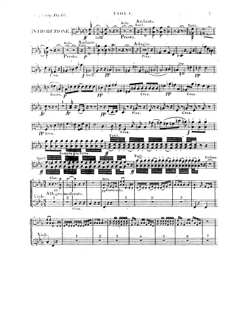 Violas