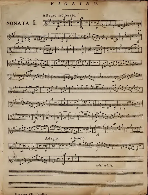 Violin