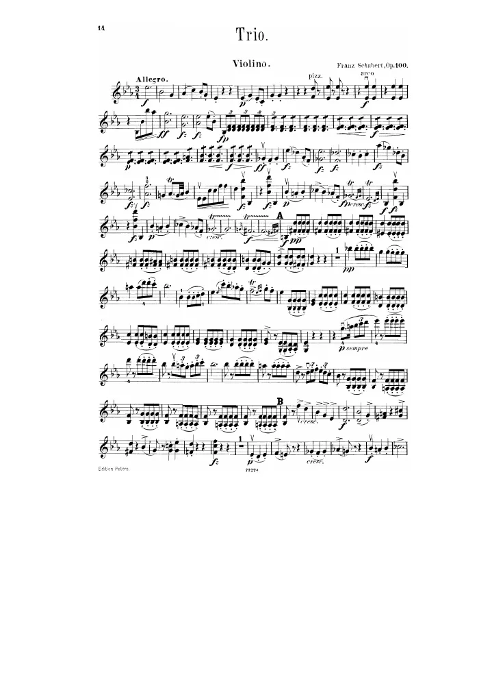 Violin