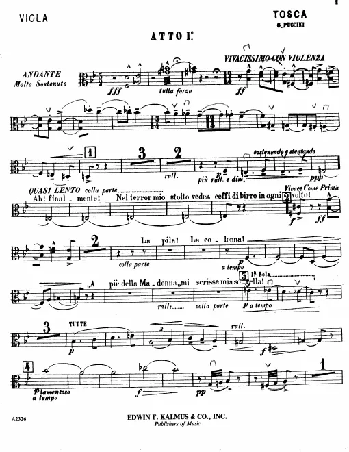 Violas