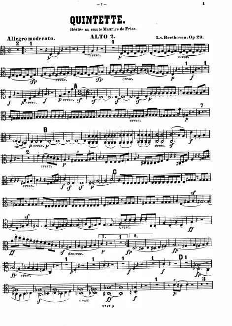 Viola 2