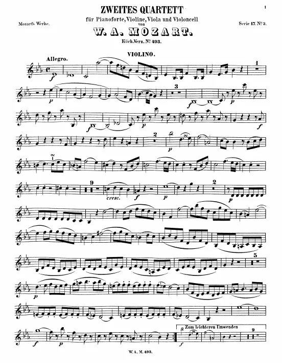 Violin