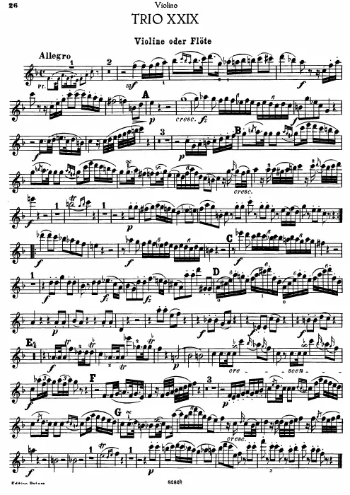 Violin