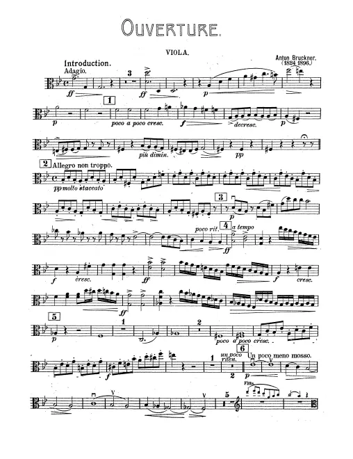 Violas