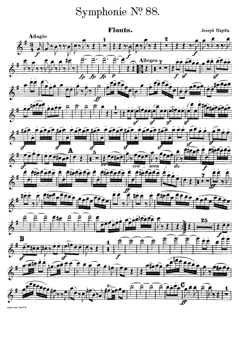 Flute
