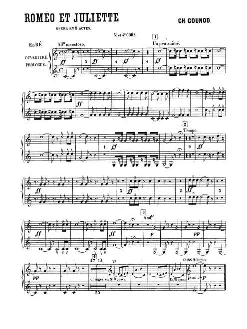 Horn 3/4 (D/D♭/C/B basso/B♭ basso)