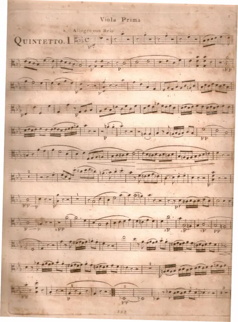Viola 1