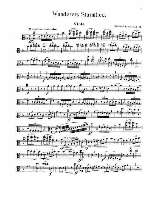 Violas