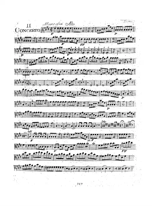 Viola