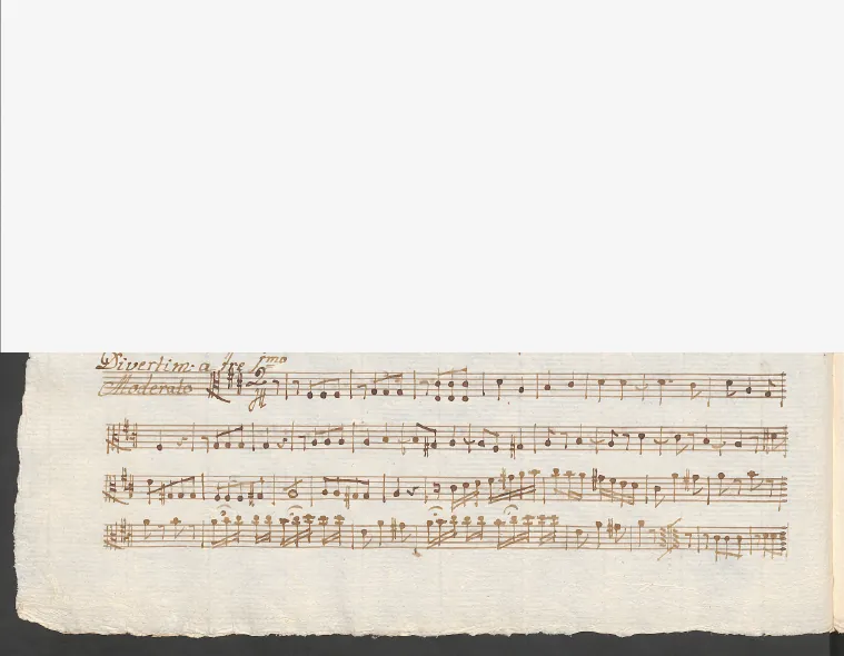 Viola