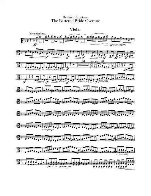 Violas