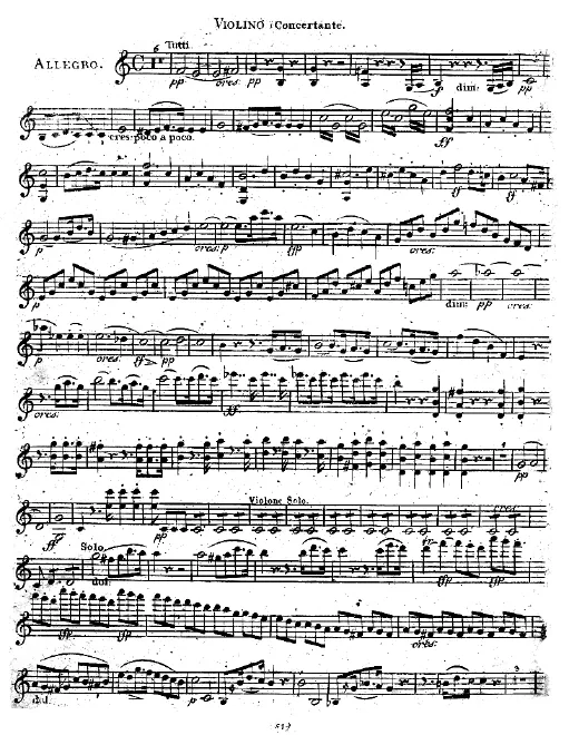 Violin