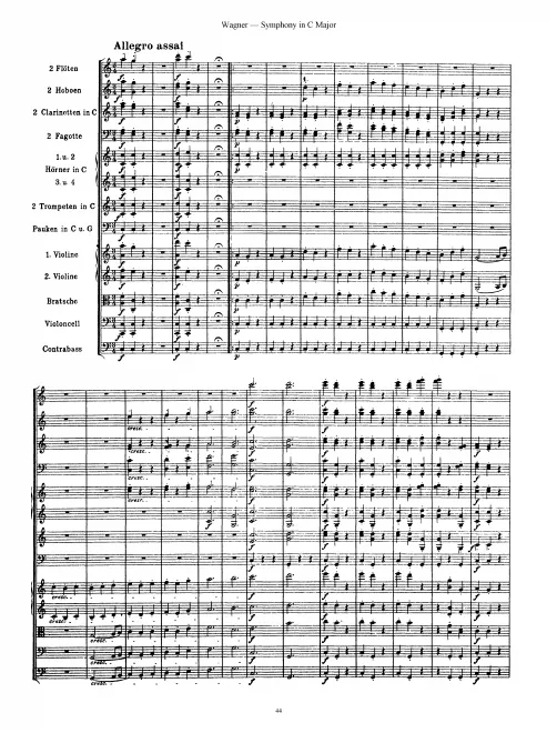 III. Allegro Assai
