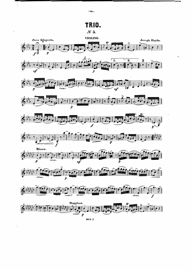 Violin