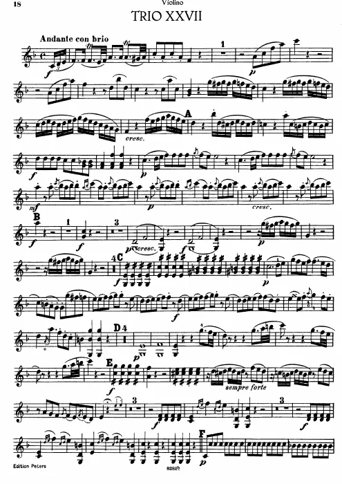 Violin