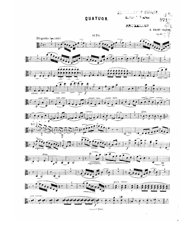 Viola
