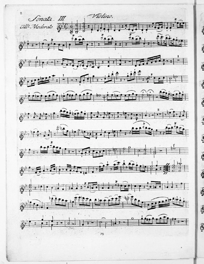 Violin