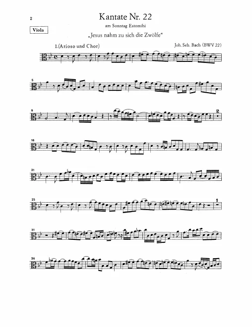 Violas