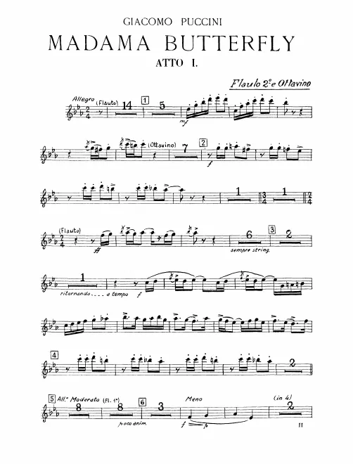 Flute 2/Piccolo