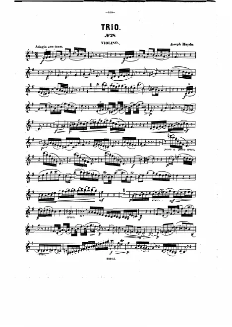 Violin