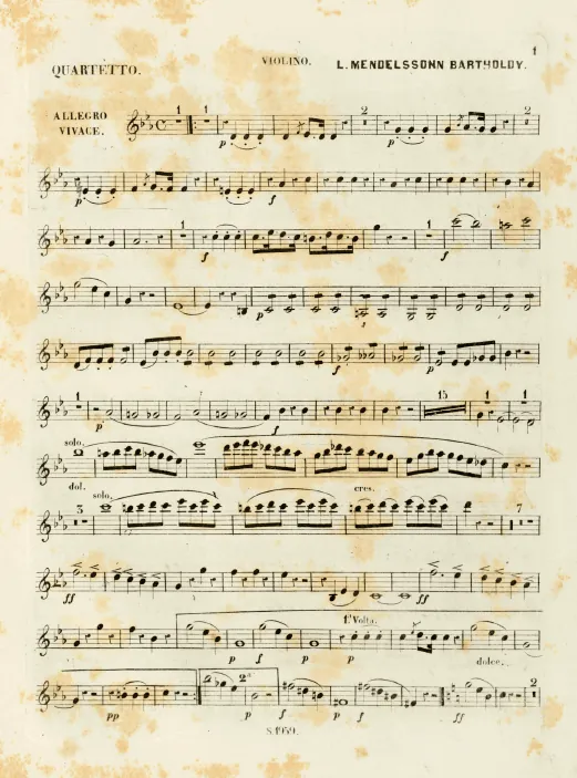 Violin