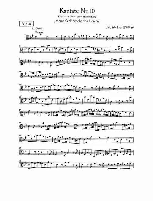 Violas