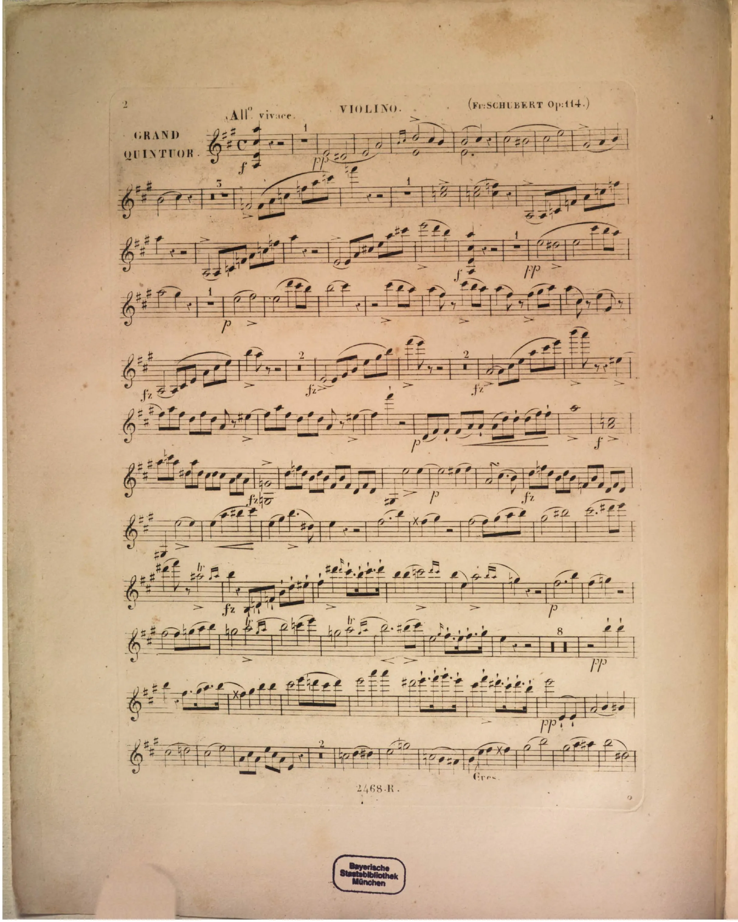 Violin
