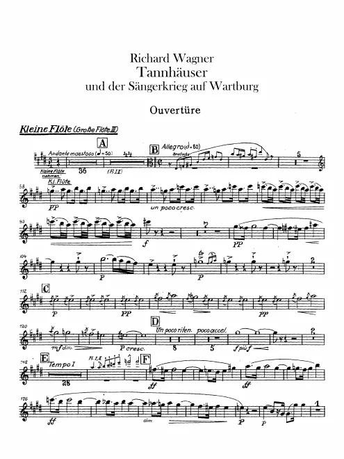 Piccolo/Flute 3