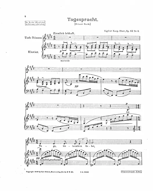 6. Tagespracht (medium)