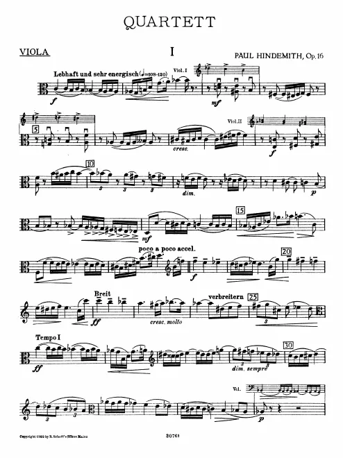 Viola