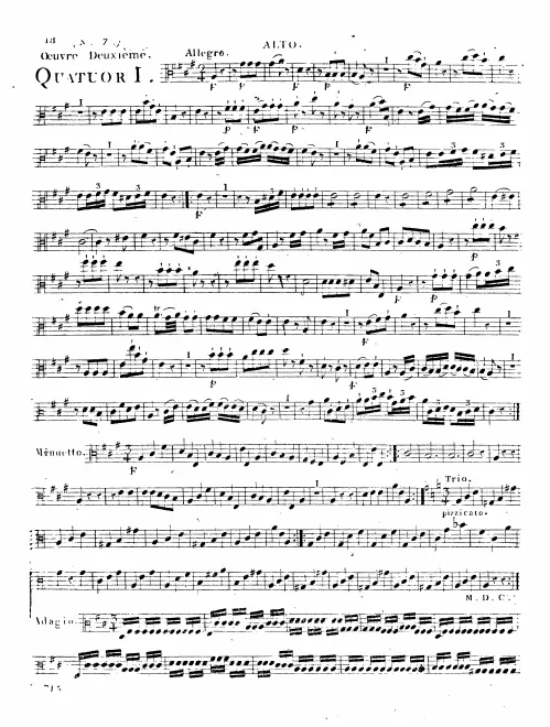 Viola