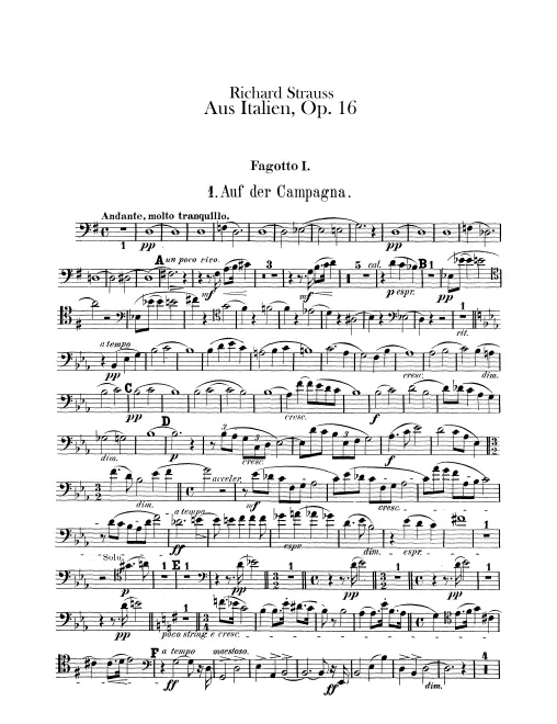 Bassoon 1
