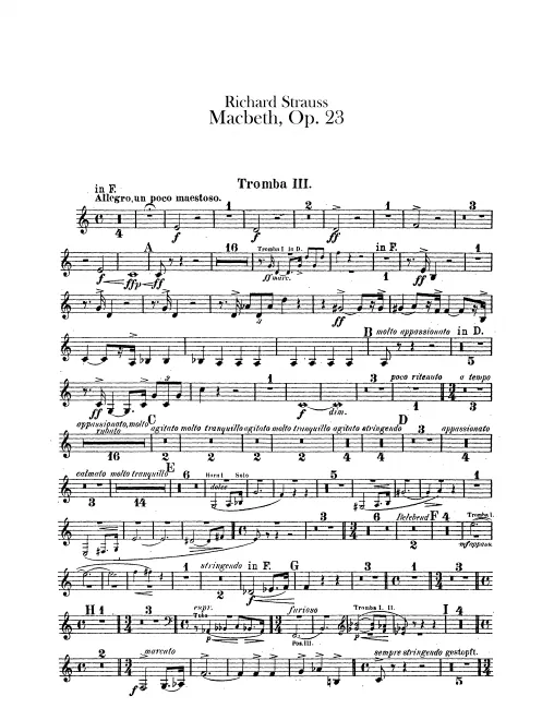 Trumpet 3 (F)