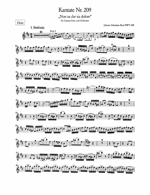 Flute